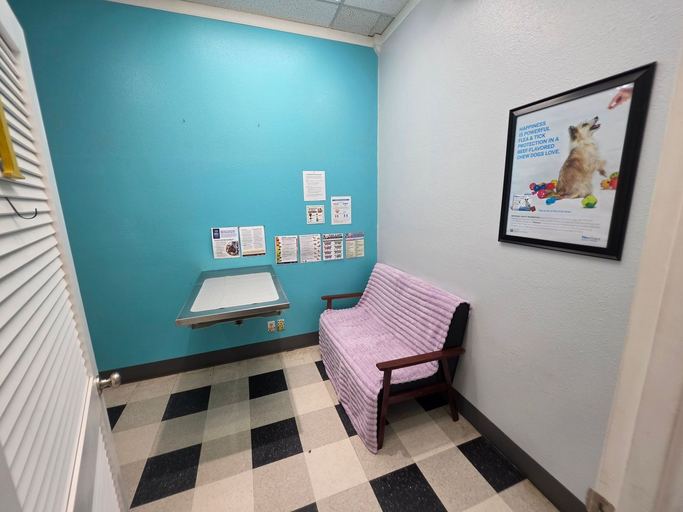 Exam room with a teal accent wall, a wall-mounted exam table, and a chair with a soft blanket