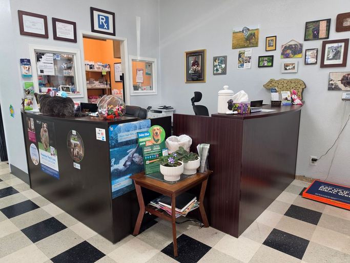 Front desk at Liberty Animal Hospital with client photos of pets on the wall and a grey cat resting on the counter