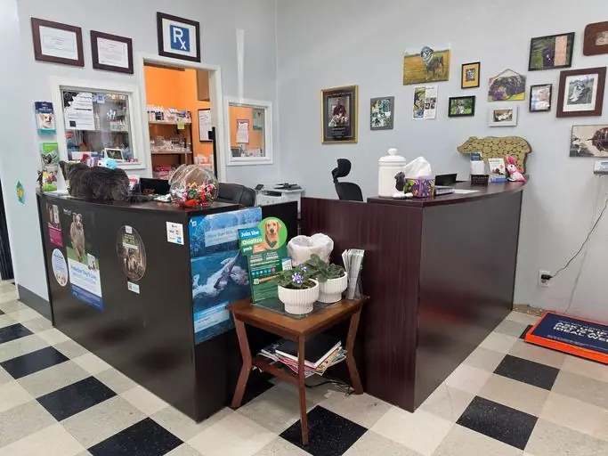 Front desk at Liberty Animal Hospital with client photos of pets on the wall and a grey cat resting on the counter