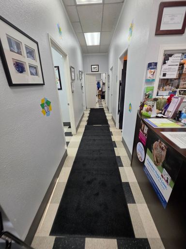 Hallway leading to the exam rooms and treatment area, decorated with paw-print wall art and pet photos