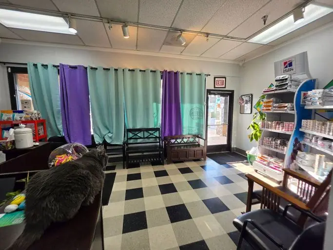 Waiting room at Liberty Animal Hospital with wooden benches, teal and purple curtains, and a Hill's pet food display